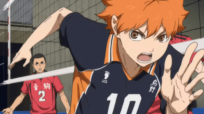 Haikyuu battle at the garbage dump record