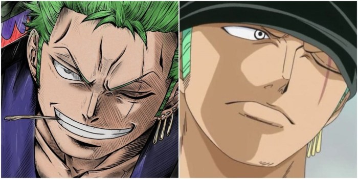 How did zoro lose his eye one piece