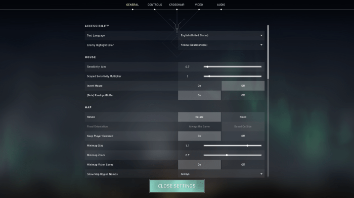 Valorant raw input buffer setting