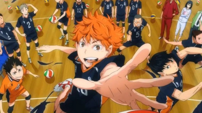 Best volleyball anime