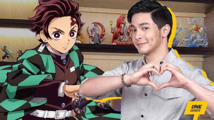 Alden richards demon slayer collection