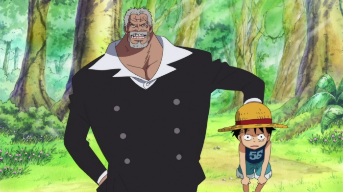 Who is luffys dad one piece