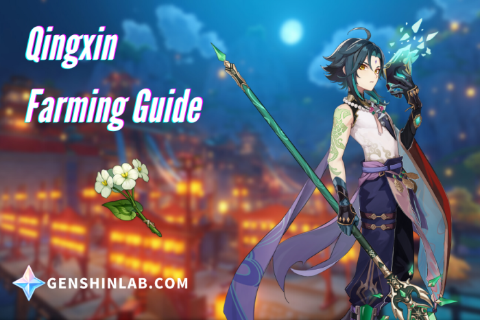 Xiao materials farming guide