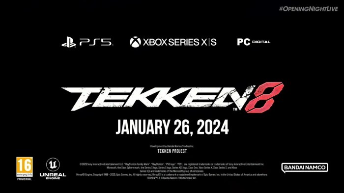 Tekken 8 release date