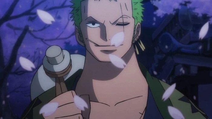 How did zoro lose his eye one piece