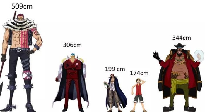 How tall is zoro one piece