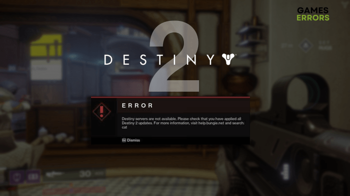 Destiny 2 cat error how to fix