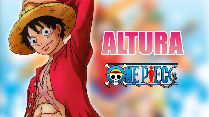 How tall is luffy height