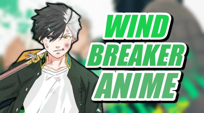 Wind breaker anime episode 1 review